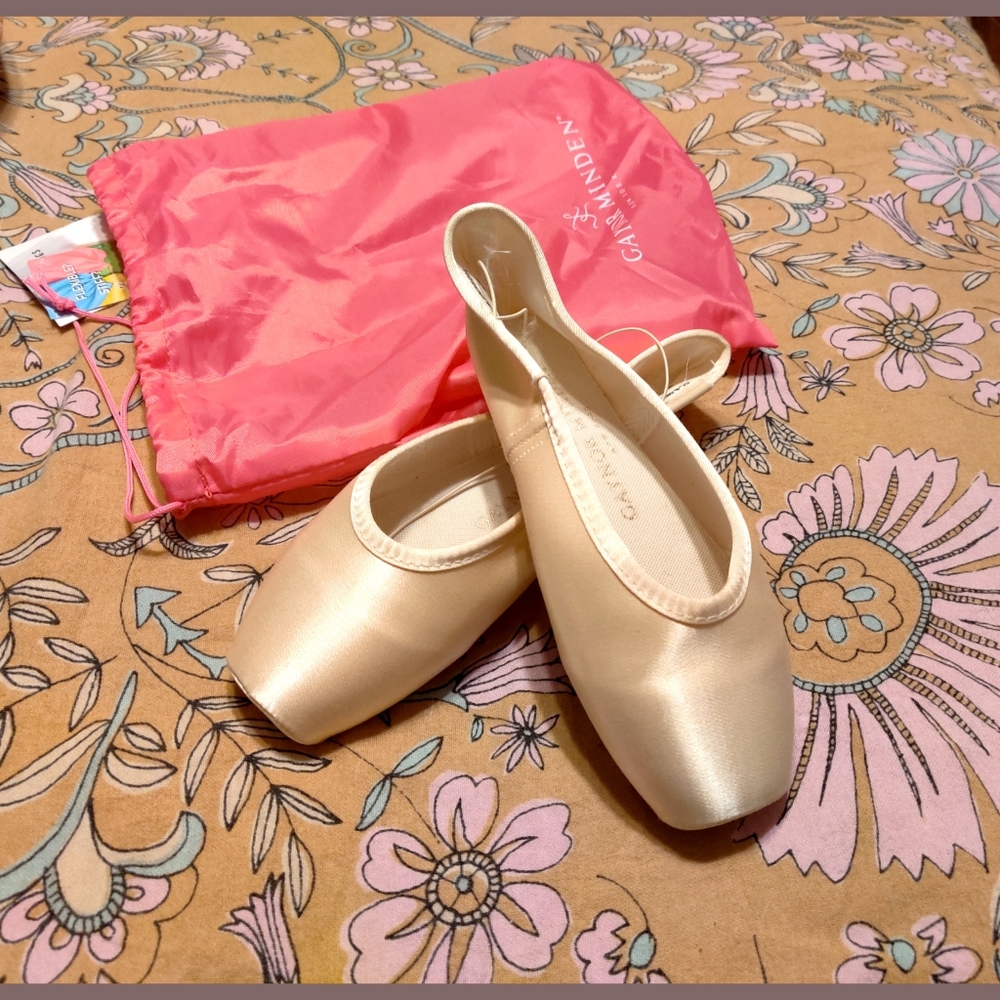 Gaynor Minden Pointe Shoes